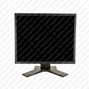 CT use Eizo 19" LCD Monitor Flexscan S1923 - Black